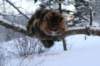 img_3000_small.jpg