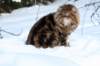 img_3157_small.jpg
