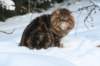 img_3162_small.jpg