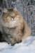 img_1489_small.jpg