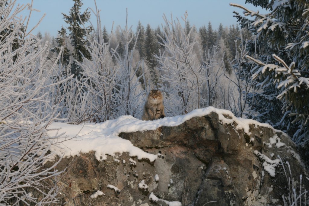 img_1583.jpg
