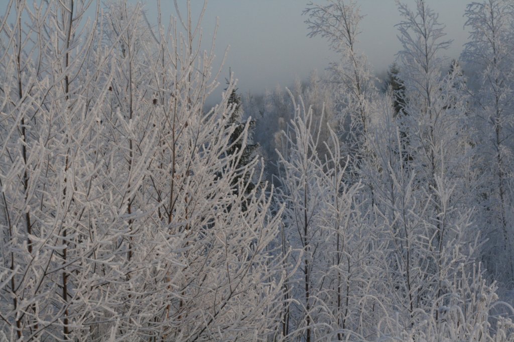 img_1611.jpg