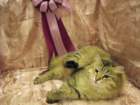 scsiestadreamecarupitagothersupremechampiontitleintheturkucatshow283200914_small.jpg