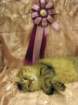 scsiestadreamecarupitagothersupremechampiontitleintheturkucatshow28320098_small.jpg