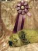 scsiestadreamecarupitagothersupremechampiontitleintheturkucatshow28320099_small.jpg