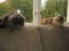 Photo Number 8
