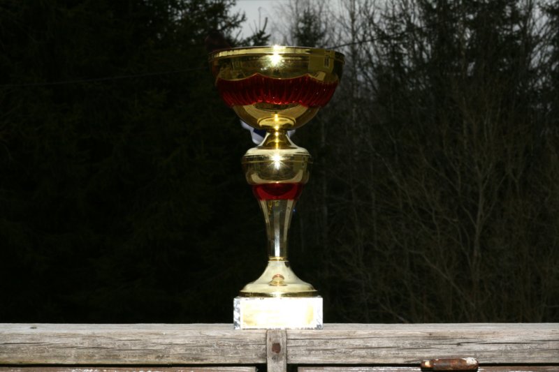 parassiperiankissanuoripokaali2008bestsiberiancatyoung2008pokal.jpg
