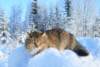 Photo Number 11