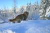 Photo Number 14