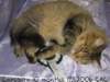 carupita10months19112006cacc_small.jpg