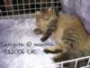 carupita10months19112006cacd_small.jpg