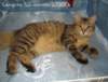 carupita55months272006_small.jpg