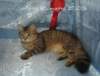 carupita55months272006c_small.jpg