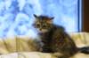 img_4914_small.jpg