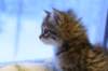 img_4915_small.jpg