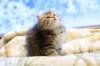 img_4953_small.jpg
