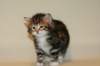 taddeusboyn092215_small.jpg