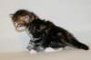 taddeusboyn092219_small.jpg