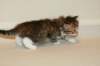 talitagirln0923_small.jpg
