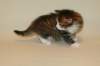 titusboyn09232_small.jpg