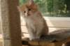 img_7574_small.jpg