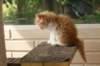 img_7627_small.jpg