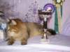 Photo Number 13