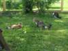 Photo Number 37