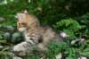 img_0810_small.jpg