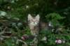img_0831_small.jpg