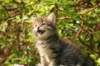 unniboy6weekssibn2432_small.jpg
