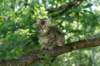 img_0681_small.jpg