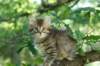 img_0683_small.jpg