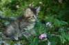 img_0711_small.jpg
