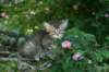 img_0721_small.jpg