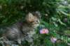 img_0725_small.jpg