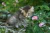 img_0727_small.jpg