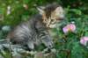img_0728_small.jpg