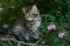 img_0737_small.jpg