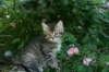 img_0739_small.jpg