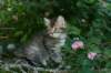 img_0741_small.jpg