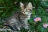 img_0744_small.jpg