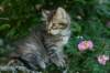 img_0745_small.jpg