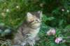 img_0758_small.jpg