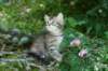 img_0760_small.jpg