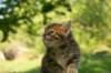 img_8194_small.jpg