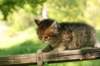 img_8200_small.jpg