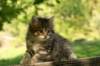 img_8203_small.jpg