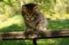 img_8223_small.jpg