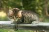 img_8227_small.jpg